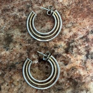 Elegant Gold and Silver Hoop Earrings